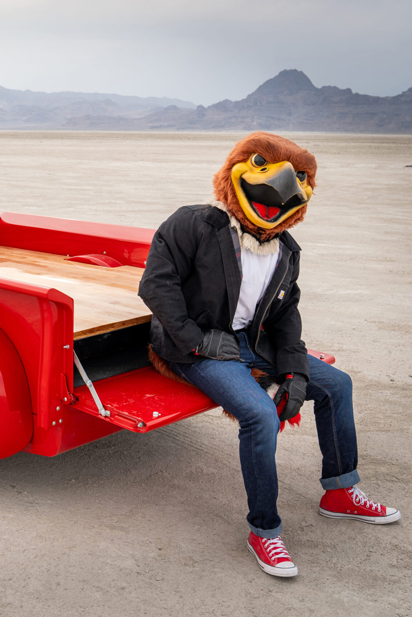 swoop-sitting
